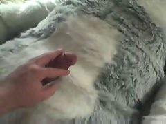 Furry masturbation