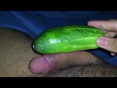 Cucumber comparison