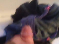 Quick cum in not my sister's filthy panties