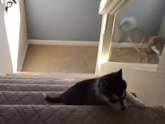 Very hairy Nympho gets slammed on the stairs